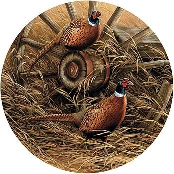 Tea/ Coffee Coasters