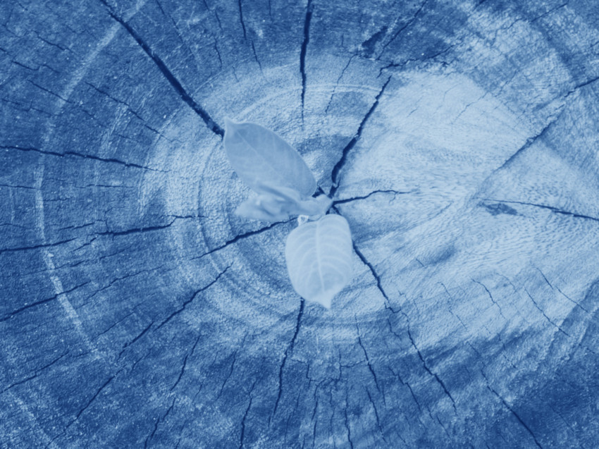 Cornerstone Global, Strategic Advisory Gulf, Risk and Due Diligence Qatar