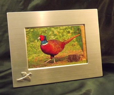 Picture/ Photo Frames