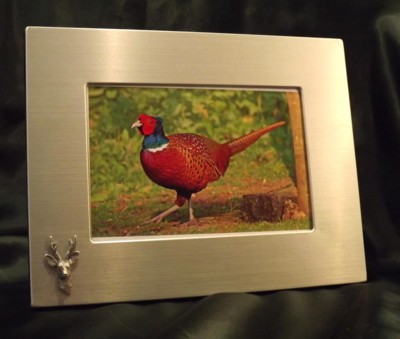 Picture/ Photo Frames