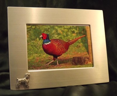 Picture/ Photo Frames