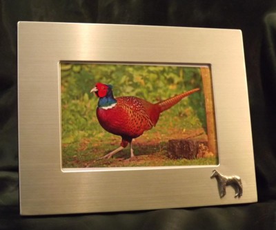 Picture/ Photo Frames