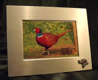 Picture/ Photo Frames