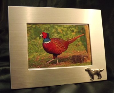 Picture/ Photo Frames