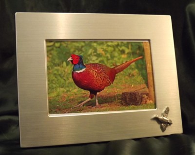 Picture/ Photo Frames