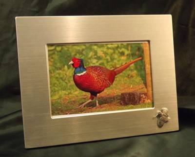 Picture/ Photo Frames