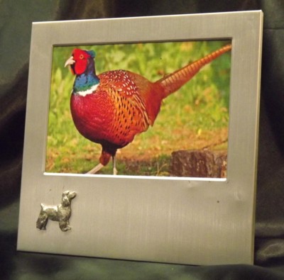 Picture/ Photo Frames