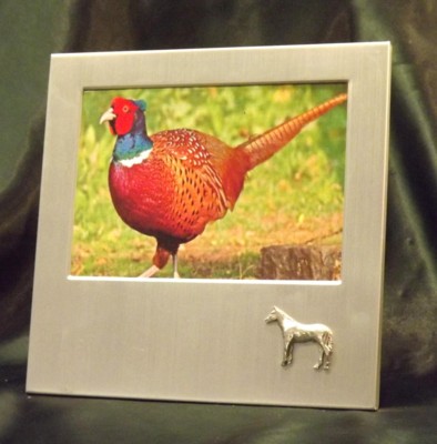 Picture/ Photo Frames