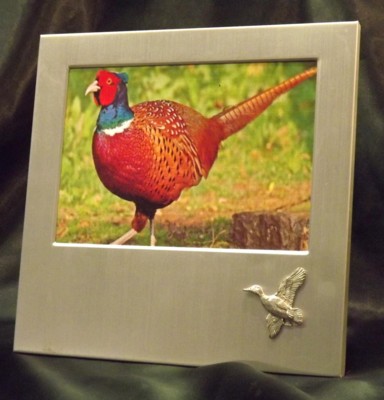 Picture/ Photo Frames