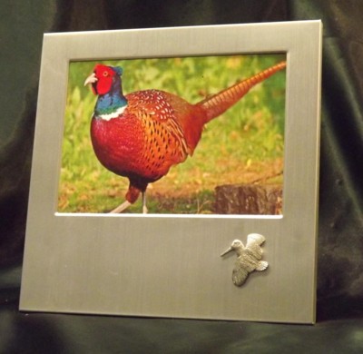 Picture/ Photo Frames