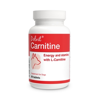L-Carnitine Deficiency in Dogs