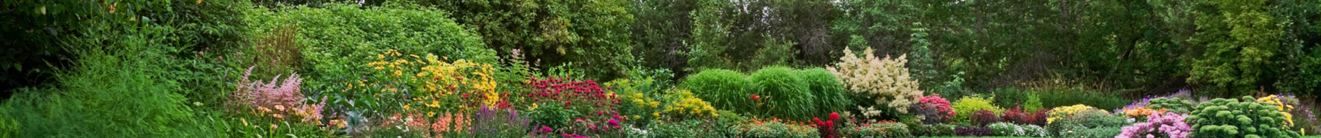 Garden Office Swansea, Garden Studio Swansea, Sips Buildings Wales