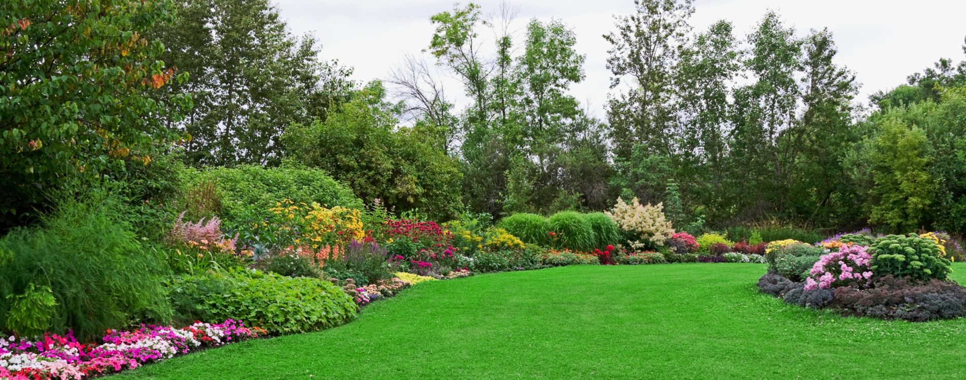 Garden Office Swansea, Garden Studio Swansea, Sips Buildings Wales