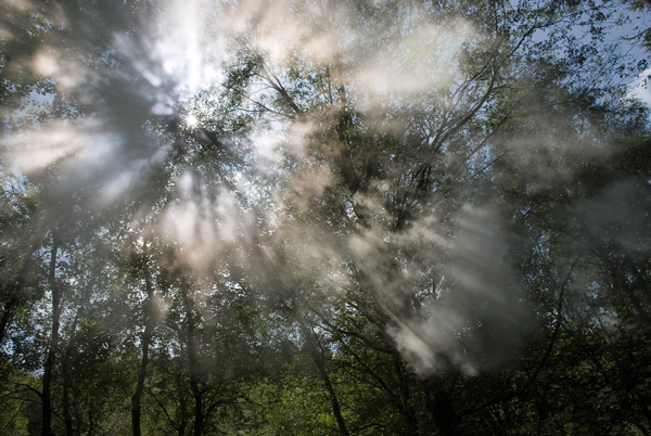 5 april 2018, it could have been me