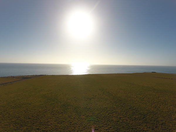 AECS Deadline TODAY!