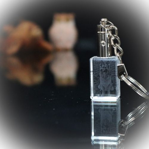 2D LED Photo Key Ring, 1-2 Persons or Logo