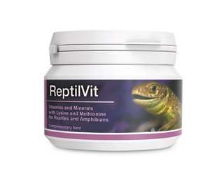 Reptiles & Amphibians