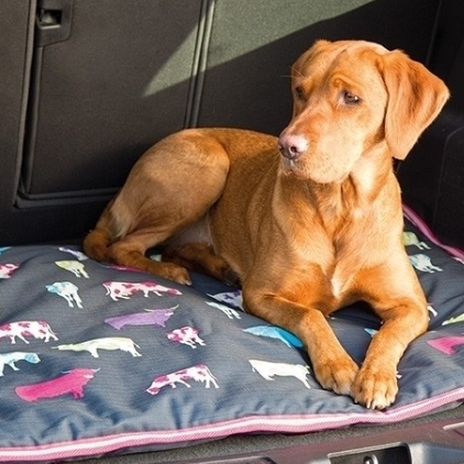 Digby & Fox Waterproof Dog Bed