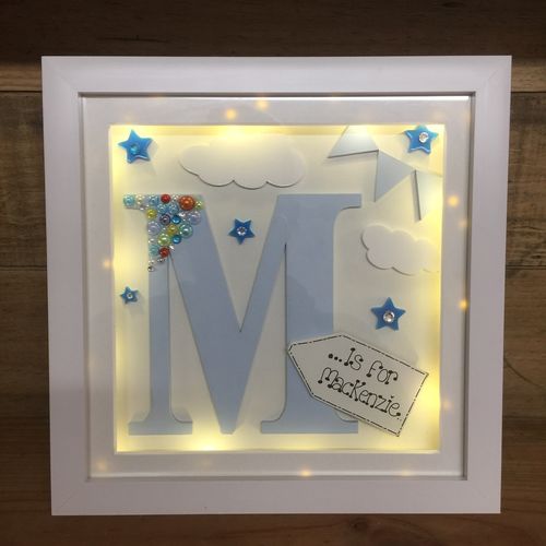 Initial Frame ( butterflies )