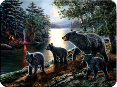 Glass Cutting/ Chopping Boards