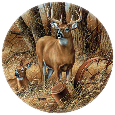 Tea/ Coffee Coasters