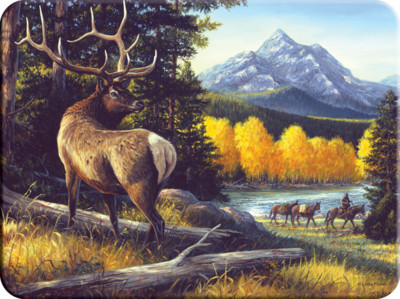 Glass Cutting/ Chopping Boards