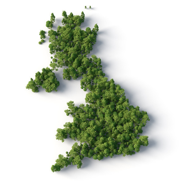 North Wales Tree Survey, North Wales Tree Inspection Training , Tree Inspection North Wales