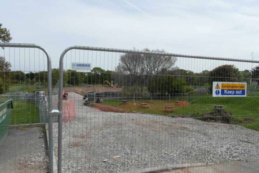 North Wales Tree Survey, North Wales Tree Inspection Training , Tree Inspection North Wales