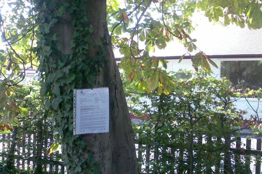 North Wales Tree Survey, North Wales Tree Inspection Training , Tree Inspection North Wales