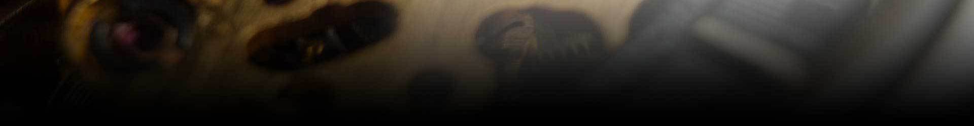 Service My Watch Bond Street, New Watch Battery Bond Street, Watch Repairs Bond Street