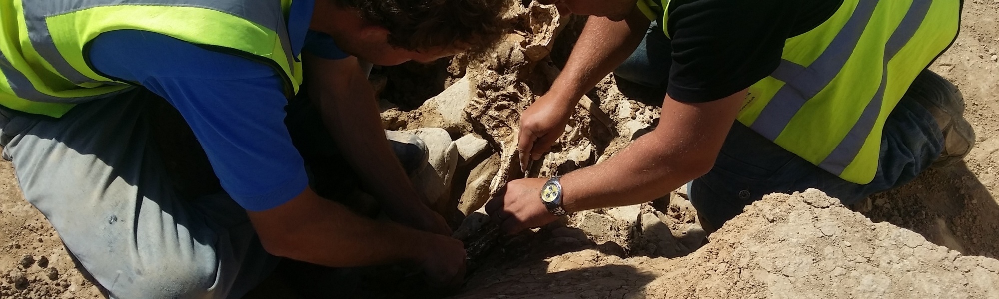 Archaeological Services Wales, Archaeological Contractor Midlands, Local Archaeologist