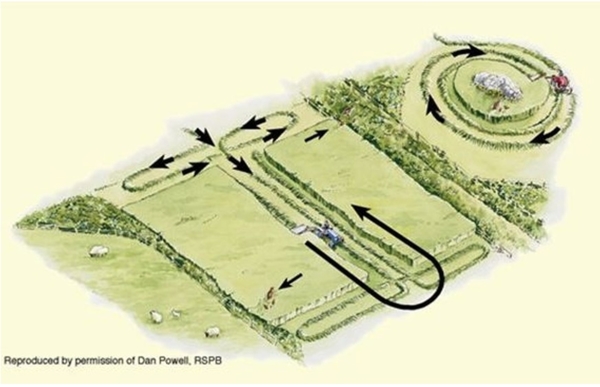 Agri-Env Mown Grassland