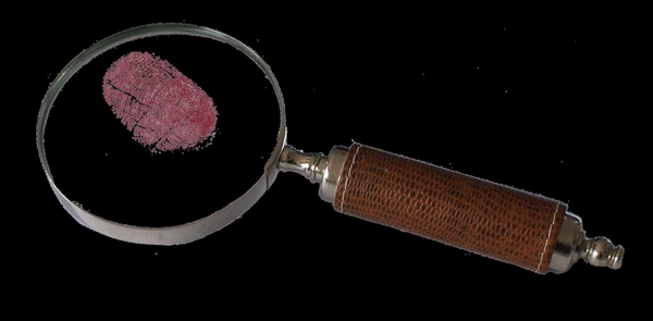 Evidencing progress in Careers Education & Work Experience