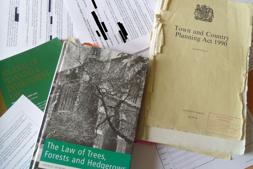 North Wales Tree Survey, North Wales Tree Inspection Training , Tree Inspection North Wales