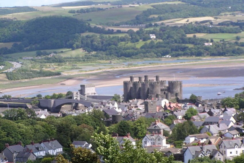 North Wales Tree Survey, North Wales Tree Inspection Training , Tree Inspection North Wales