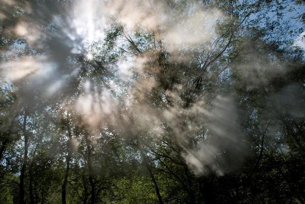 storm may blow away first rays of sunshine