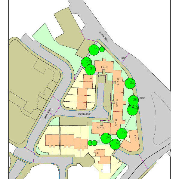 Tree Surveying & Management