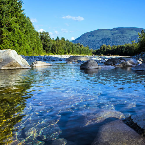 Workplace Harassment