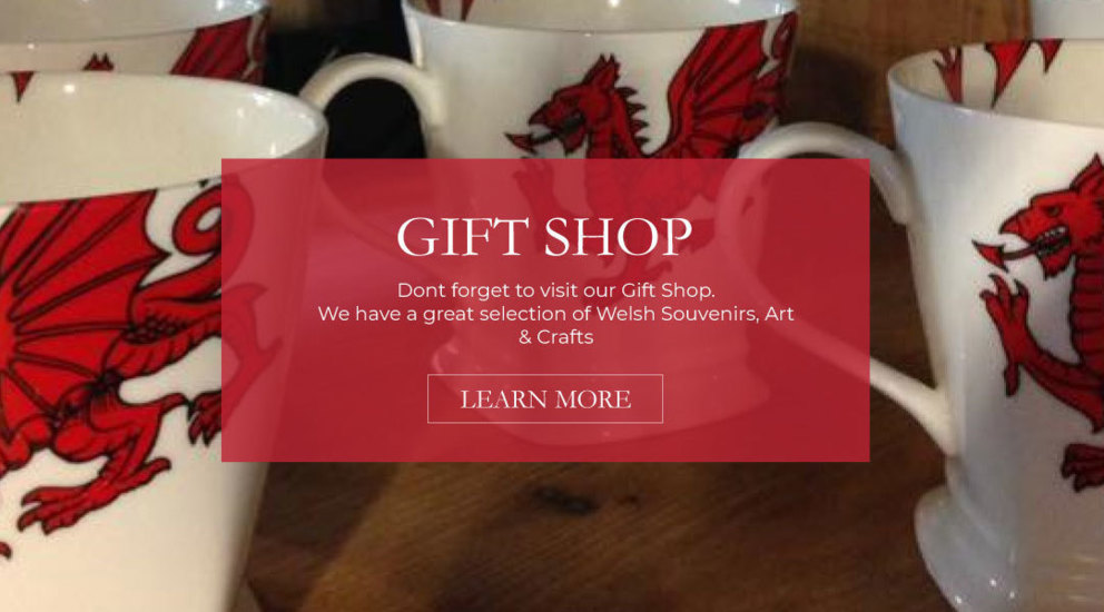 Carreg Cennen Castle, Attractions Llandeilo, Weddings Carmarthenshire