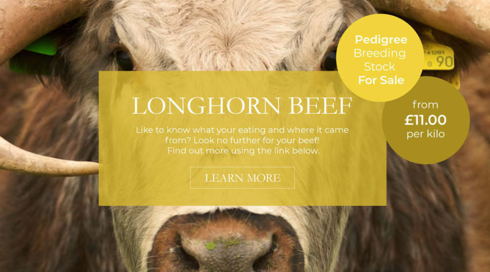 Carreg Cennen Castle, Attractions Llandeilo, Weddings Carmarthenshire