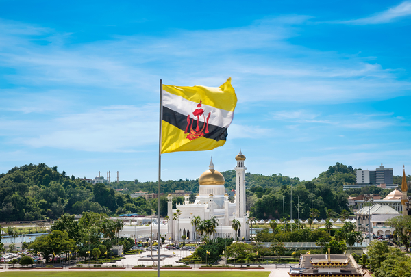 Brunei To Develop Petrochemical Industry With New Plant