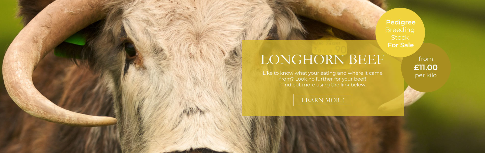 Carreg Cennen Castle, Attractions Llandeilo, Weddings Carmarthenshire