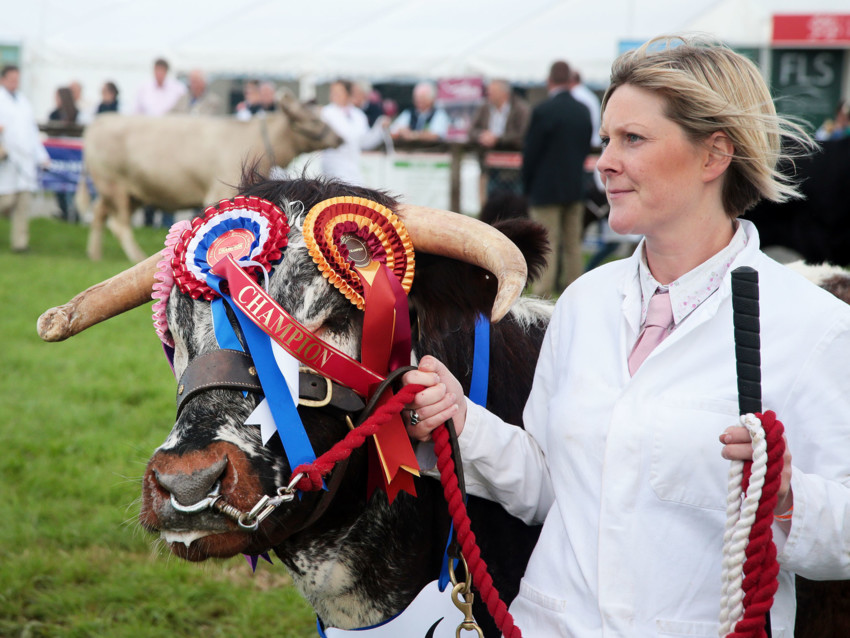 Carreg Cennen Castle, Attractions Llandeilo, Weddings Carmarthenshire