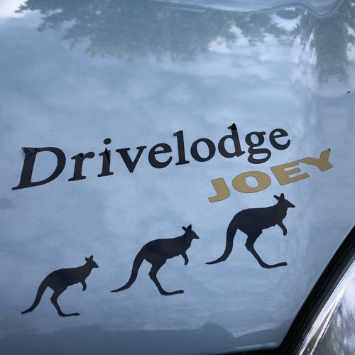 59reg Renault Kangoo Camper Van 1.5 DCi - Drivelodge JOEY Camper Van 2 Berth