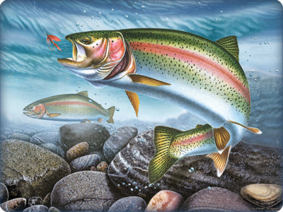 Glass Cutting/ Chopping Boards