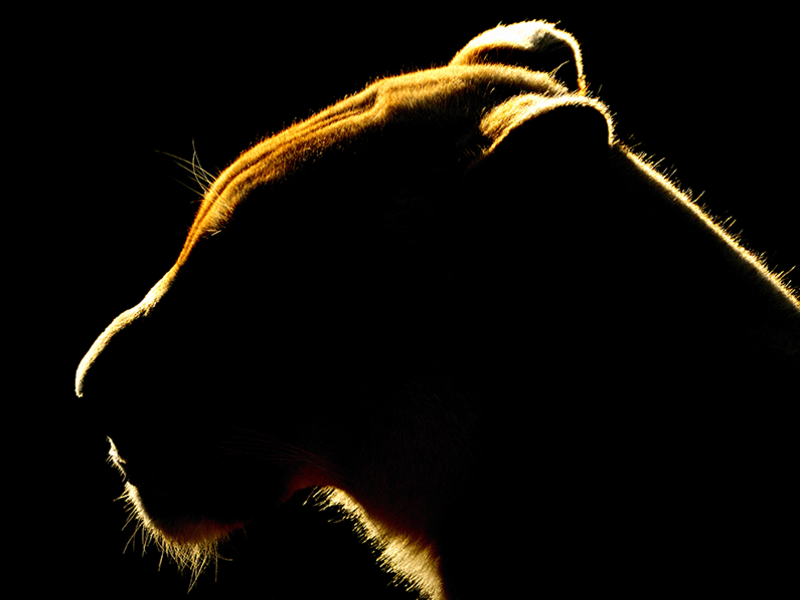 CCTV FIRE ALARMS AND SECURITY INSTALLERS ANDOVER, CCTV FIRE ALARMS AND SECURITY INSTALLERS DOVER