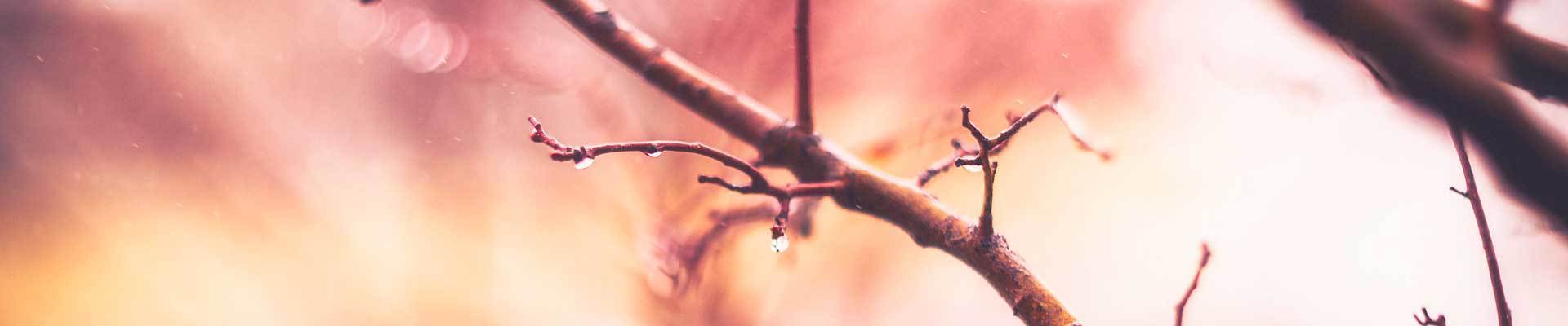 Reflexology Ullapool, Reflexology Highlands, Reflexology Lochbroom