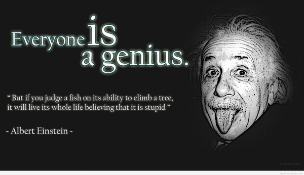 Fantastic Eleven Plus (11+) Results!!!!