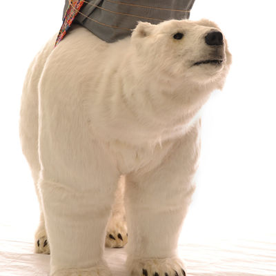 Artists & Entertainment 