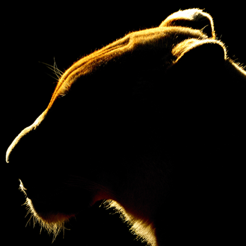 CCTV FIRE ALARMS AND SECURITY INSTALLERS ANDOVER, CCTV FIRE ALARMS AND SECURITY INSTALLERS DOVER